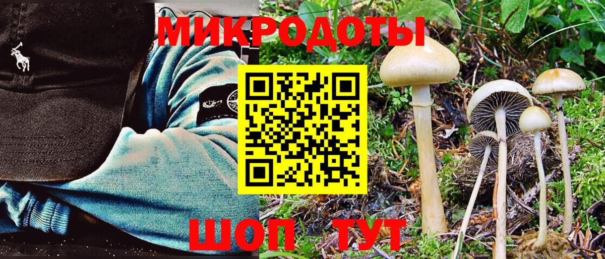 Псилоцибиновые грибы ЛСД  Вход с VPN  Новороссийск 
